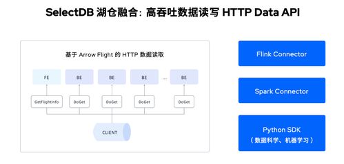 定义现代化实时数据仓库 SelectDB全新产品形态全面发布，引领信息系统集成服务革新